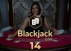 Blackjack VIP 14